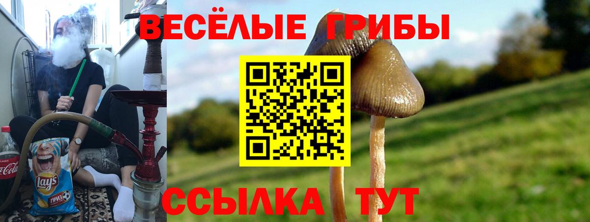 Галлюциногенные грибы ЛСД  Вход с VPN  Малгобек 