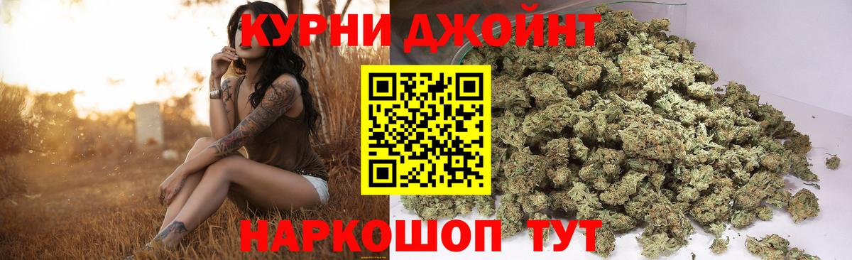 Канабис план Малгобек